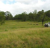 Numinbah Valley Adventure Trails - Accommodation Newcastle