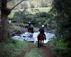 Numinbah Valley Adventure Trails - Accommodation Newcastle 3