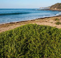 Richmond Beach - Accommodation Newcastle
