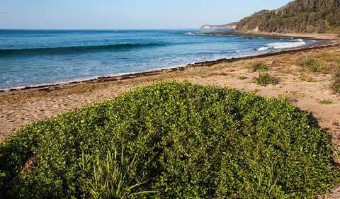 Richmond Beach - Accommodation Newcastle 0