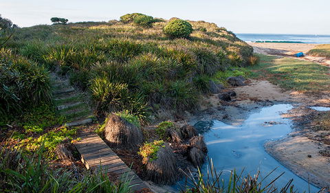 Richmond Beach - Accommodation Newcastle 1