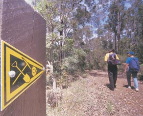 Greenbushes Loop - Accommodation Newcastle 1