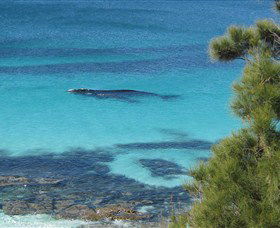 Jervis Bay Marine Park - Accommodation Newcastle 0