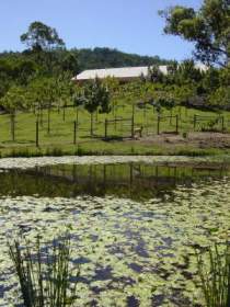 Mount Nathan Winery - Accommodation Newcastle 2
