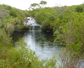 Booderee National Park: Green Patch And Telegraph Creek Walking Tracks - Accommodation Newcastle 0