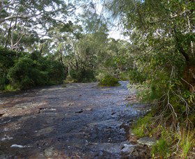 Booderee National Park: Green Patch And Telegraph Creek Walking Tracks - Accommodation Newcastle 2