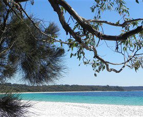 Booderee National Park: Green Patch And Telegraph Creek Walking Tracks - Accommodation Newcastle 6