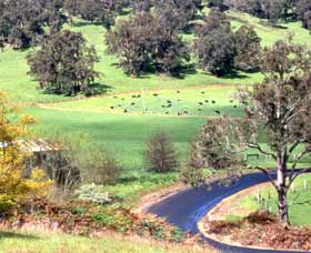 Blackwood River Tourist Drive - Accommodation Newcastle 0