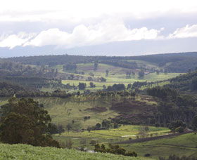 Blackwood River Tourist Drive - Accommodation Newcastle 2