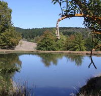 Oak Grove Walk Balingup - Accommodation Newcastle