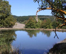 Oak Grove Walk, Balingup - Accommodation Newcastle 0