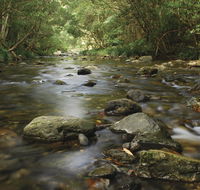 Plateau Circuit loop trail - Accommodation Newcastle