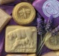 Honeycomb Valley Farm