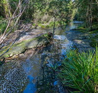 Dawson River walking track - Accommodation Newcastle