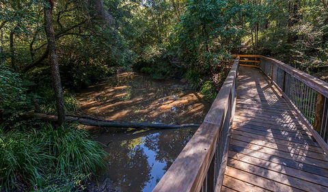 Ms Kellys Walking Track - Accommodation Newcastle 0