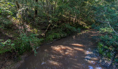 Ms Kellys Walking Track - Accommodation Newcastle 2