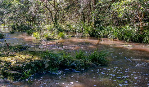 Ms Kellys Walking Track - Accommodation Newcastle 3