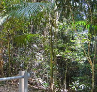 Goorgana walking track - Accommodation Newcastle