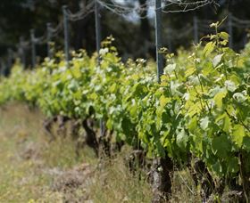 Barton Jones Wines - Accommodation Newcastle 2