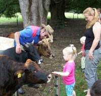 Crystal Creek Miniatures - Accommodation Newcastle