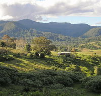 Mount Nardi picnic area - Accommodation Newcastle