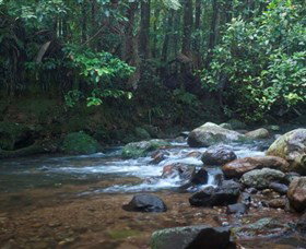 Protesters Falls - Accommodation Newcastle 1