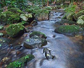 Protesters Falls - Accommodation Newcastle 7