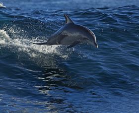 Town Centre - Accommodation Newcastle 1