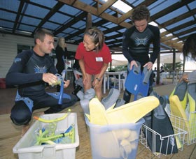 Dolphin Discovery Centre - Accommodation Newcastle 1