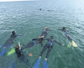 Dolphin Discovery Centre - Accommodation Newcastle 2
