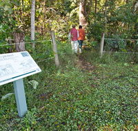 Coramba Nature Reserve - Accommodation Newcastle