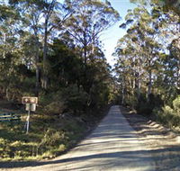 Box Cutting Rainforest Walk - Accommodation Newcastle