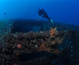 Cementco Dive Site - Accommodation Newcastle 3