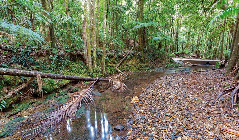 Karangi NSW Accommodation Newcastle