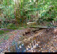 Ulidarra National Park - Accommodation Newcastle