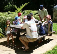 The Pines picnic area - Accommodation Newcastle