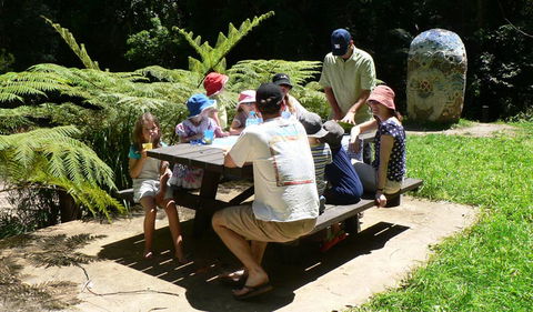 The Pines Picnic Area - Accommodation Newcastle 0