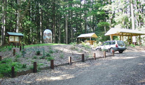 The Pines Picnic Area - Accommodation Newcastle 2