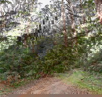 End Peak walking track - Accommodation Newcastle