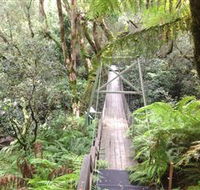 Bemm River Scenic Reserve - Accommodation Newcastle