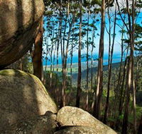 Mount Gulaga Mount Dromedary Walk - Accommodation Newcastle