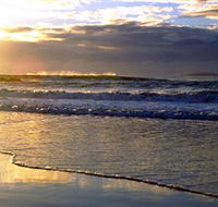 Handkerchief Beach Picnic Area - Accommodation Newcastle