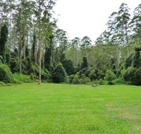 Kerewong State Forest - Accommodation Newcastle