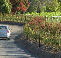 Cassegrain Wines - Accommodation Newcastle