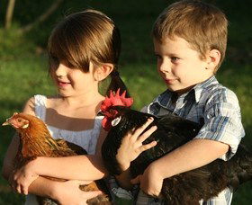 Summerland House Farm - House With No Steps - Accommodation Newcastle 2