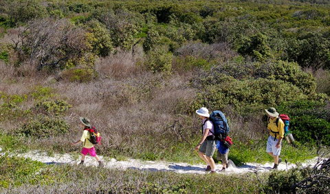 Yuraygir Coastal Walk - Accommodation Newcastle 0