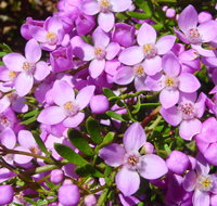 Broadwater National Park - Accommodation Newcastle