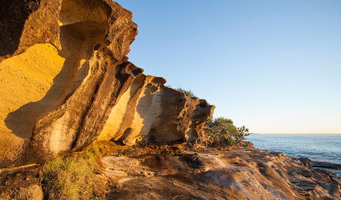 Angourie To Brooms Head - Accommodation Newcastle 0