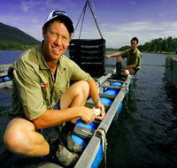 Armstrong Oysters - Accommodation Newcastle
