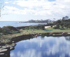 Angourie Blue Pool - Accommodation Newcastle 1